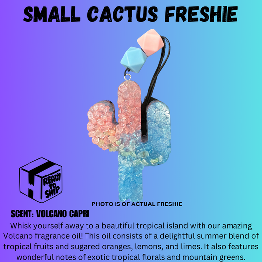 READY TO SHIP  CACTUS FRESHIE